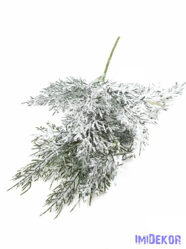 Havas tuja ág 33cm - Havas