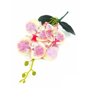   Orchidea gumis Phalaenopsis 4 fejes 2 leveles művirág 37 cm - Krém-Rózsaszín