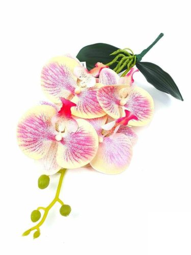 Orchidea gumis Phalaenopsis 4 fejes 2 leveles művirág 37 cm - Krém-Rózsaszín