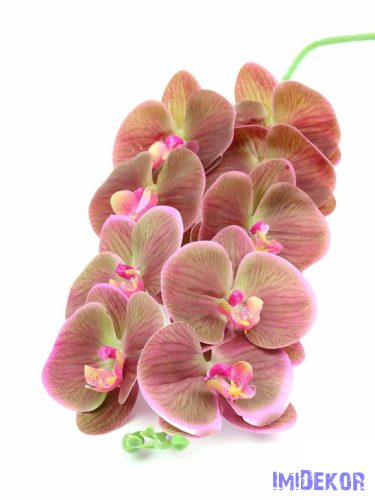 Phalaenopsis orchidea 9 fejes ág 100cm - Antik Eres