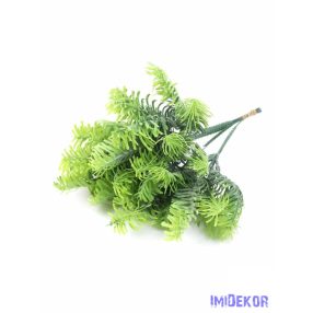 Nordmann fenyő pikk 23cm - Világos Zöld