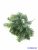 Nordmann fenyő pikk 23cm - Sötét Zöld