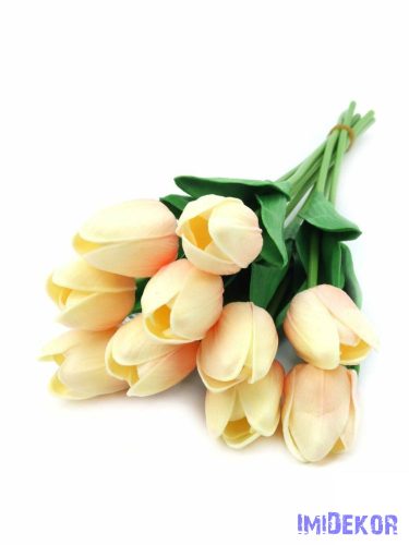 Tulipán gumis 10 szálas real touch köteg 33cm - Barack