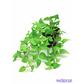 Cserepes real touch csüngős növény 64 - Foltos Zöld