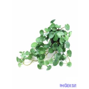 Cserepes real touch csüngős növény 65 - Hamvas Zöld