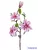 Magnólia ág 3+1v 56cm - Pinkes