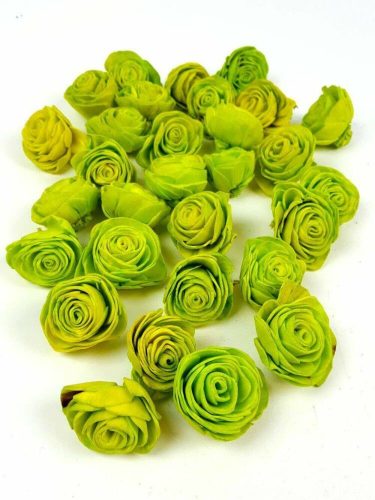 Shola Beauty Rose szárazvirág fej 4 cm - Világos Zöld
