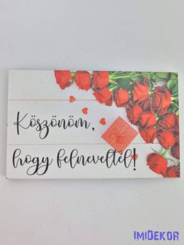 Köszönöm, hogy felneveltél tábla 5x8cm - téglalap