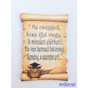   Baglyos papirusz idézettel - Ne csüggedj, hisz ifjú vagy…