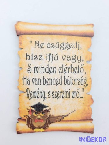 Baglyos papirusz idézettel - Ne csüggedj, hisz ifjú vagy…