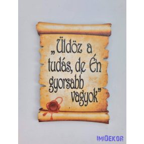 Pecsétes papirusz idézettel - Üldöz a tudás…