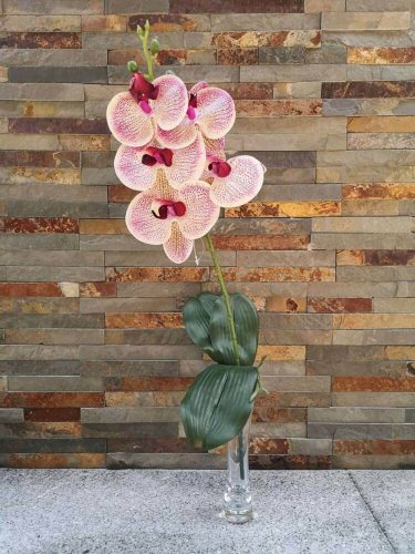 Orchidea gumis 5v. leveles gyökeres művirág 57 cm - Krém-Rózsaszín Cirmos