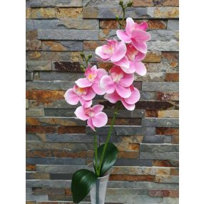   Orchidea gumis Phalaenopsis 2 ágú 2 leveles művirág 45 cm - Rózsaszín