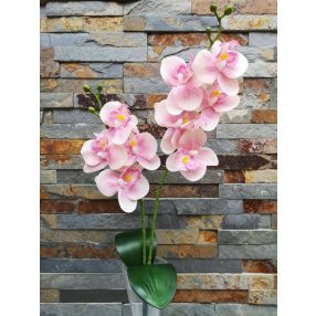   Orchidea gumis Phalaenopsis 2 ágú 2 leveles művirág 45 cm - Púder Rózsaszín