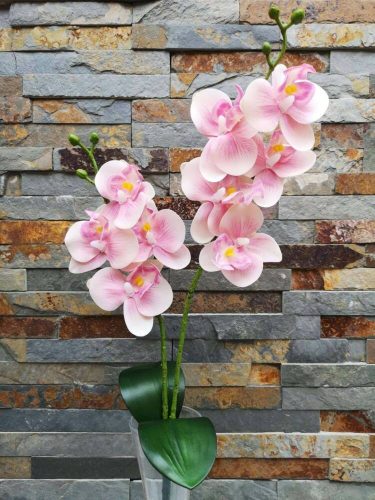 Orchidea gumis Phalaenopsis 2 ágú 2 leveles művirág 45 cm - Púder Rózsaszín