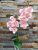 Orchidea gumis Phalaenopsis 2 ágú 2 leveles művirág 45 cm - Púder Rózsaszín