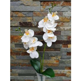Orchidea gumis 2 ágú 2 leveles 45 cm - Fehér