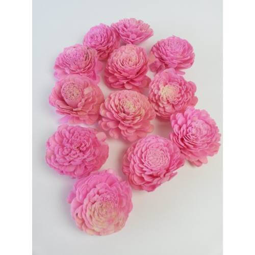 Shola Belly 12 db 8 cm - Rózsaszín száraz virágfej