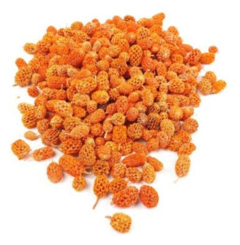 Casurina száraz termés 15 dkg - Narancs