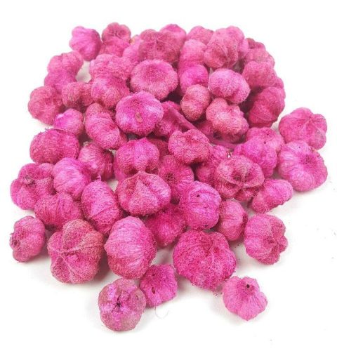 Fokhagyma termés 14 dkg - Pink