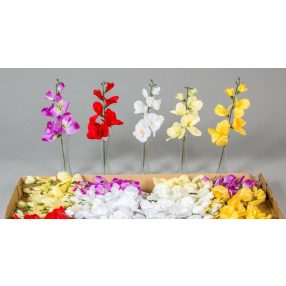 Kardvirág szálas selyemvirág 39 cm