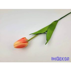 Bimbós tulipán szálas 53 cm - Barack