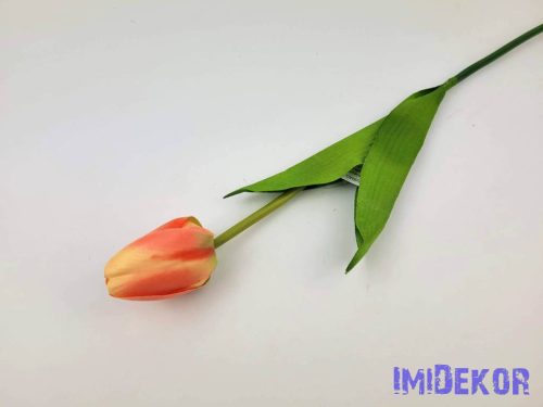 Bimbós tulipán szálas 53 cm - Barack