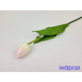 Bimbós tulipán szálas 53 cm - Halvány Rózsaszín