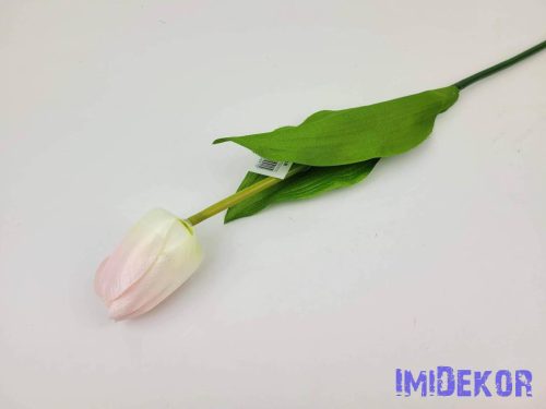 Bimbós tulipán szálas 53 cm - Halvány Rózsaszín