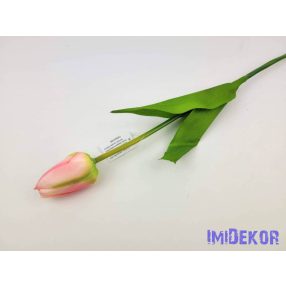 Bimbós tulipán szálas 53 cm - Rózsaszín