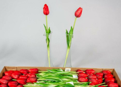 Tulipán szálas gumi virág 45 cm