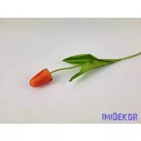 Bimbós tulipán szálas 48 cm - Narancs