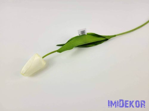 Bimbós tulipán szálas 48 cm - Fehér