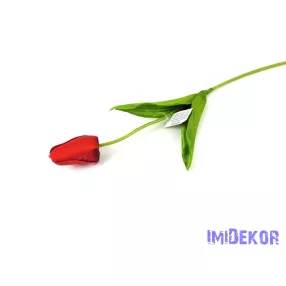 Bimbós tulipán szálas 48 cm - Piros
