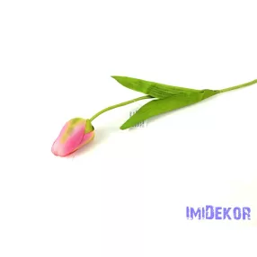 Bimbós tulipán szálas 48 cm - Sötét Rózsaszínes