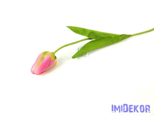 Bimbós tulipán szálas 48 cm - Sötét Rózsaszínes