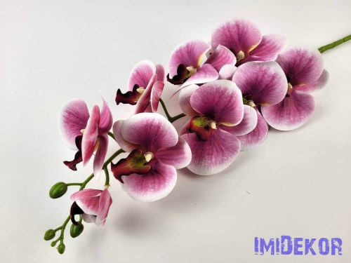 Gumis ezerett phalaenopsis orchidea ág 96 cm - Mályvás Átmenetes