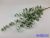 Eukaliptusz ág 97cm - Hamvas