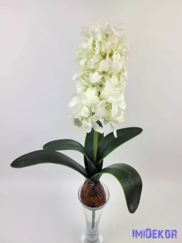 Hagymás jácint 5 levéllel 39/29 cm - Fehér