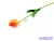 Tulipán szálas gumi 48 cm - Pirosas Narancs