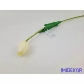 Tulipán szálas gumi 48 cm - Törtfehér