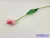 Tulipán szálas gumi 48 cm - Erős Rózsaszín