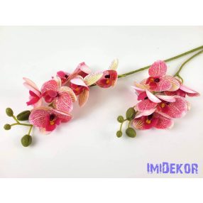 Gumis orchidea 2 ágú 58 cm - Krém-Rózsaszín Cirmos