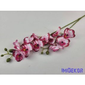 Gumis orchidea 2 ágú 58 cm - Foltos