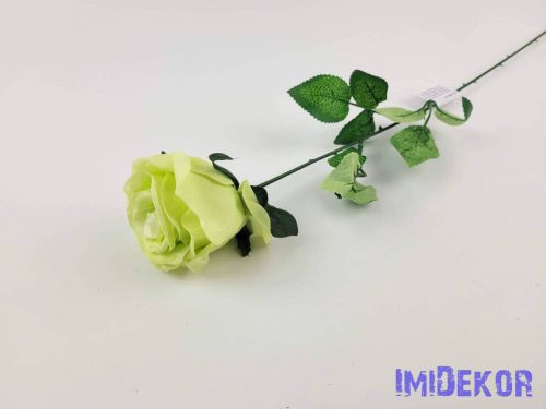 Szálas rózsa 61 cm - Zöldes
