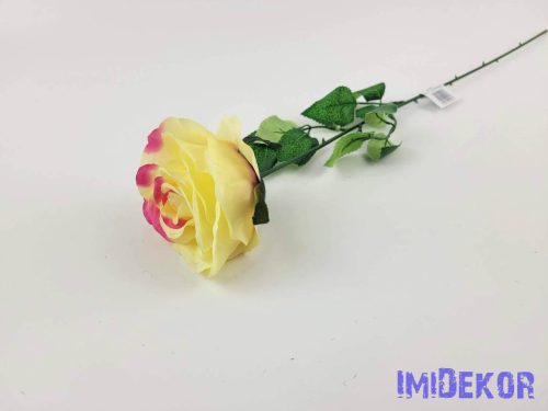 Szálas rózsa 61 cm - Vaj-Foltos