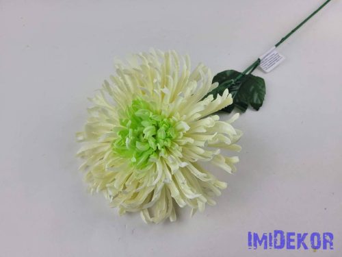 Pók krizantém szálas selyemvirág D19cm M68cm - Krém-Zöldes