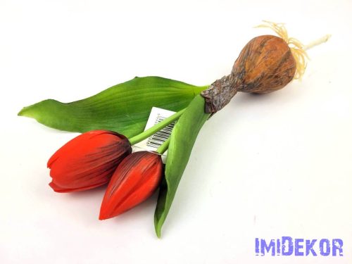 Hagymás gumi tulipán 2 bimbós fejű 24/18 cm - Piros