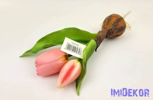 Hagymás gumi tulipán 2 bimbós fejű 24/18 cm - Rózsaszín
