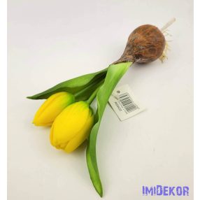 Hagymás gumi tulipán 2 bimbós fejű 24/18 cm - Sárga